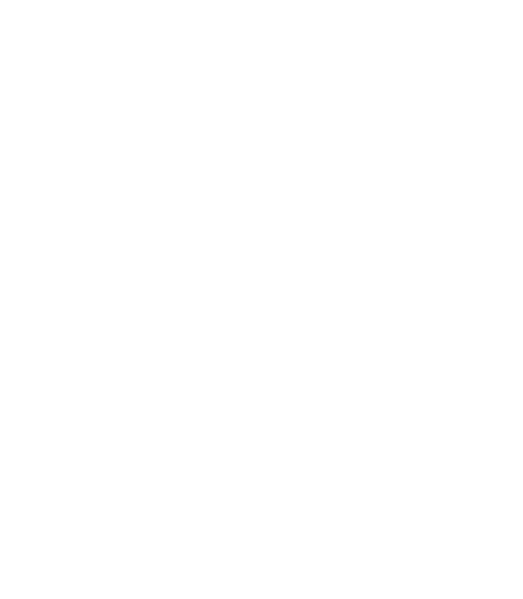 Premier League